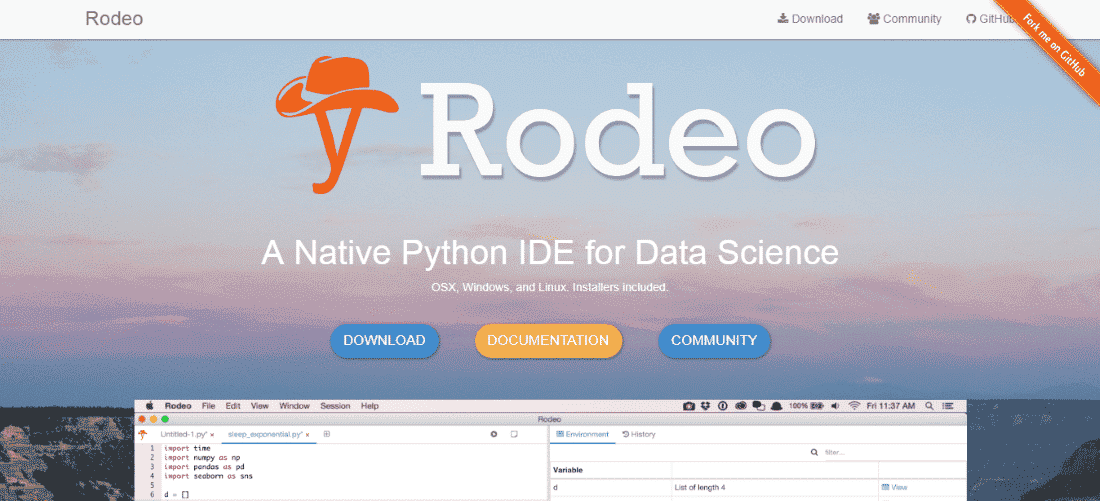 Rodeo Python IDE