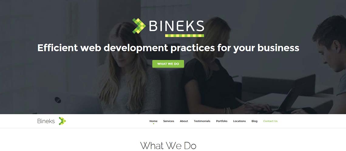 Bineks Website - Bineks