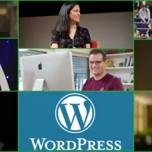 wordpress specialists 300x300 - Top 20 WordPress Specialists You Can Trust