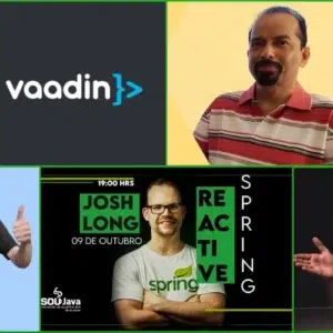 vaadin developers 300x300 - Top 13 Vaadin Developers in the World
