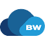 burtchworks - Top 14 Data Science Recruiters